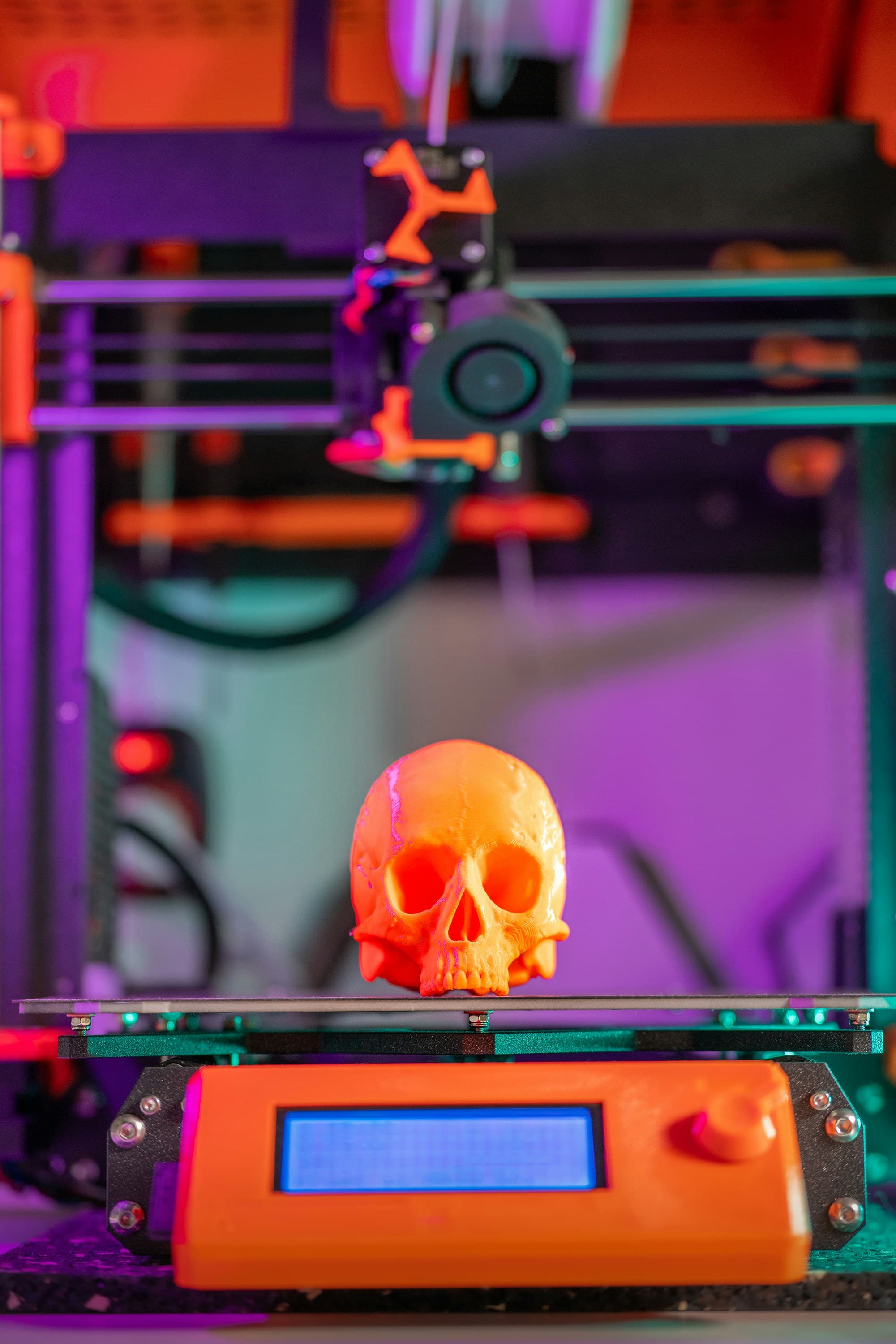 3D printed skull on digital scale